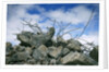 Construction Rubble by Anonymous