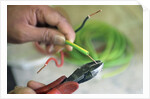 Electrician Stripping Electrical Wire by Anonymous