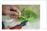 Electrician Stripping Electrical Wire by Anonymous