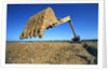 Backhoe Working in Muddy Field by Anonymous