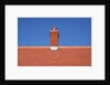 Roof top and chimney on a new house by Anonymous