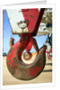 Crane Hook by Anonymous