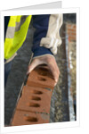 Bricklayer at Work by Anonymous