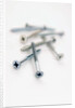 Screws by Anonymous