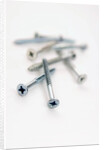 Screws by Anonymous