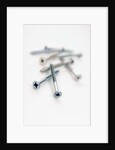 Screws by Anonymous