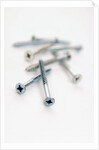 Screws by Anonymous