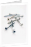 Screws by Anonymous