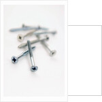 Screws by Anonymous