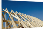 Construction Frame by Anonymous
