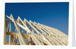 Construction Frame by Anonymous