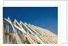 Construction Frame by Anonymous