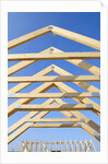 Construction Frame by Anonymous