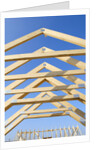 Construction Frame by Anonymous