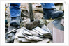 Construction Worker Using Sledgehammer by Anonymous