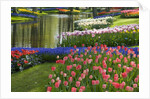 Spring Tulips by Stream by Anonymous