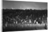 View of Manhattan Above Queens Cemetery by Anonymous
