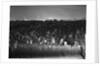 View of Manhattan Above Queens Cemetery by Anonymous