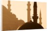 Two Mosques by Anonymous