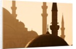 Two Mosques by Anonymous