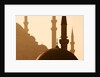 Two Mosques by Anonymous