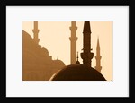 Two Mosques by Anonymous