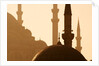 Two Mosques by Anonymous
