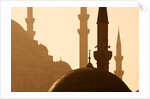 Two Mosques by Anonymous