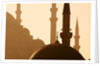 Two Mosques by Anonymous