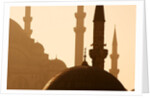 Two Mosques by Anonymous