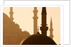 Two Mosques by Anonymous
