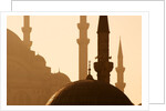 Two Mosques by Anonymous