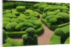 Topiary Garden at Chateau de Marqueyssac by Anonymous