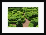 Topiary Garden at Chateau de Marqueyssac by Anonymous