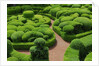 Topiary Garden at Chateau de Marqueyssac by Anonymous