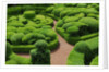 Topiary Garden at Chateau de Marqueyssac by Anonymous