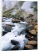 Stream in Valley of the Geysers by Anonymous