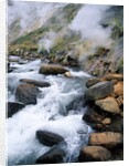 Stream in Valley of the Geysers by Anonymous