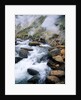 Stream in Valley of the Geysers by Anonymous