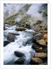 Stream in Valley of the Geysers by Anonymous