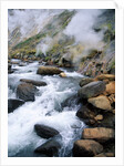 Stream in Valley of the Geysers by Anonymous