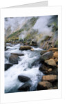 Stream in Valley of the Geysers by Anonymous