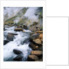 Stream in Valley of the Geysers by Anonymous