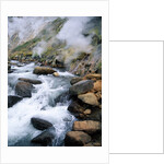 Stream in Valley of the Geysers by Anonymous