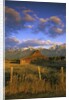 Barn in Historic Homestead Mormon Row by Anonymous
