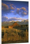 Barn in Historic Homestead Mormon Row by Anonymous