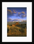 Barn in Historic Homestead Mormon Row by Anonymous