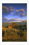 Barn in Historic Homestead Mormon Row by Anonymous