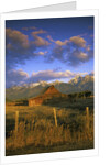 Barn in Historic Homestead Mormon Row by Anonymous