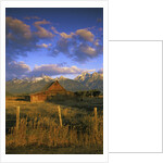 Barn in Historic Homestead Mormon Row by Anonymous